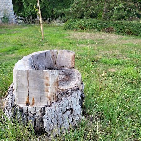 A La Salle De Jeux Et Son Jardin Autour De La Cabane Verte ดีน็อง ภายนอก รูปภาพ