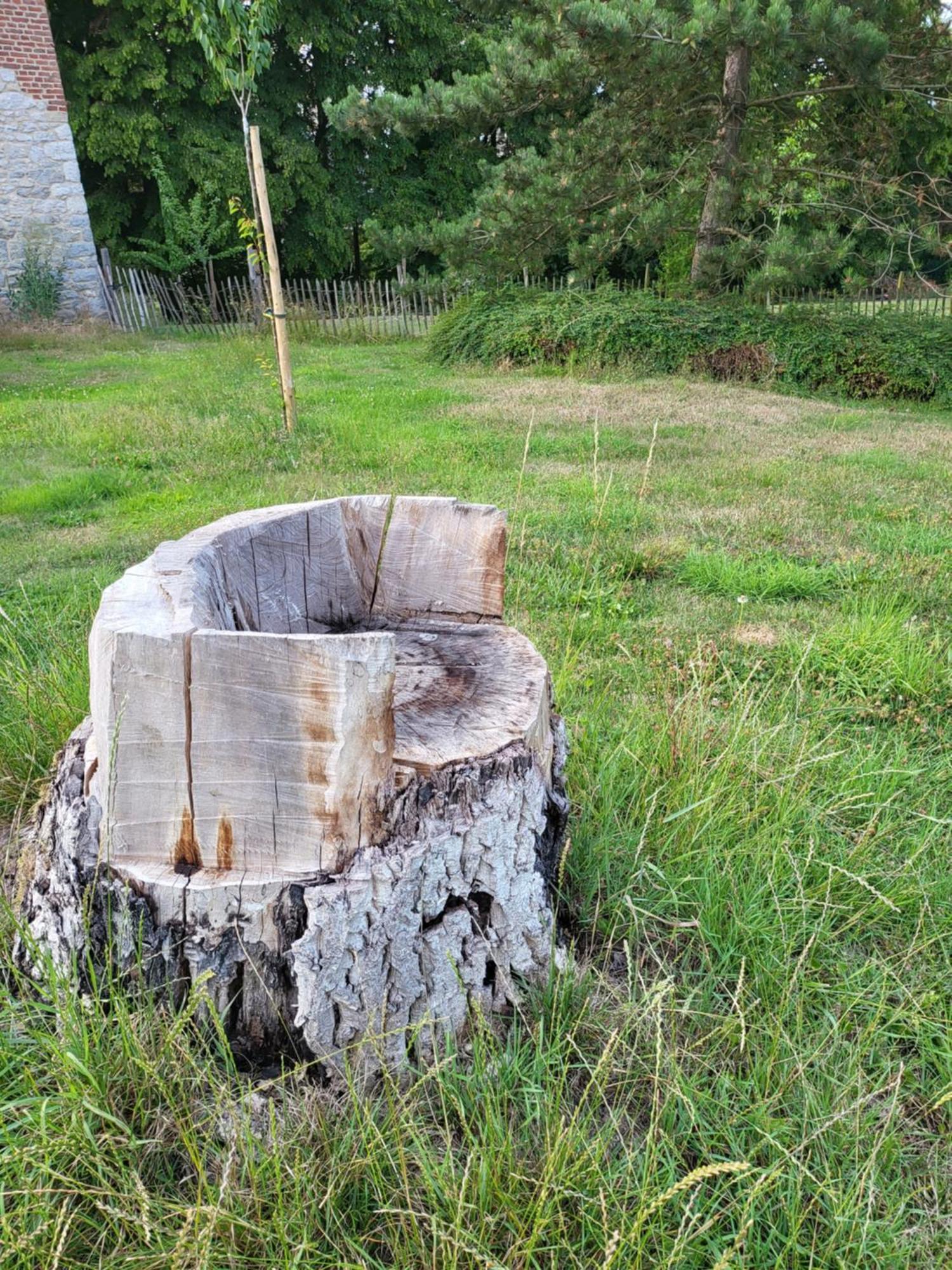 A La Salle De Jeux Et Son Jardin Autour De La Cabane Verte ดีน็อง ภายนอก รูปภาพ